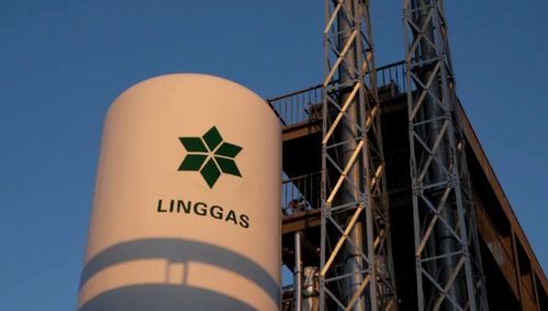 綠菱氣體年產(chǎn)1萬(wàn)噸高純電子特氣項(xiàng)目技術(shù)服務(wù)公示